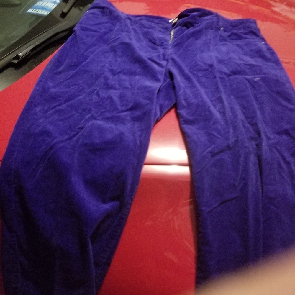 Cuodroy pants in a stunning color. Worn once. Chic